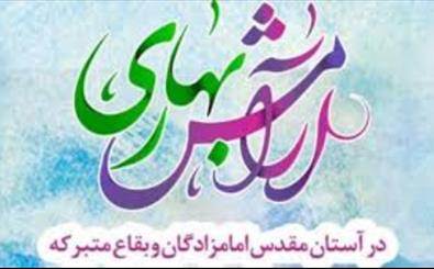طرح آرامش بهاری در بقاع متبرکه استان قم اجرا می شود طرح آرامش بهاری در بقاع متبرکه استان قم اجرا می شود
