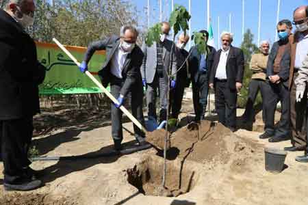 کاشت ۱۰۰ هزار اصله نهال در اطراف مسجد مقدس جمکران