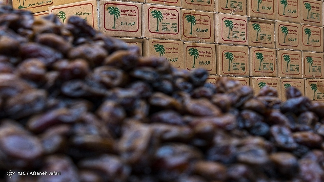 توزیع خرما با قیمت مصوب در قم آغاز شد