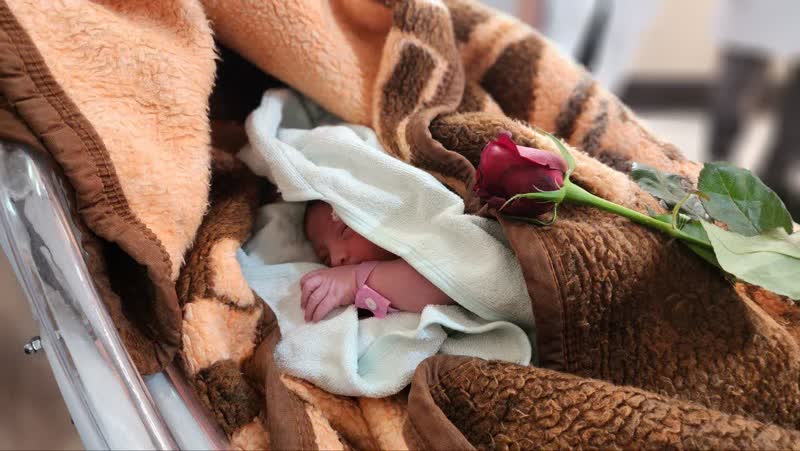 تولد یک هزار و 928 نوزاد در بیمارستان امام رضا علیه السلام قم تولد یک هزار و 928 نوزاد در بیمارستان امام رضا علیه السلام قم