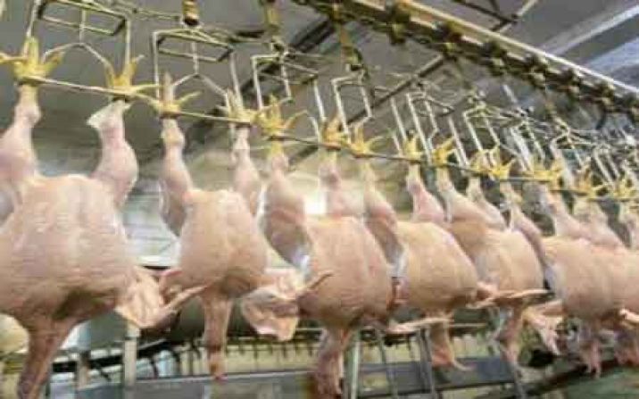 400 تن مرغ منجمد با قیمت 14 هزار تومان در قم ذخیره شد