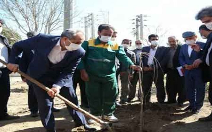 استاندار قم در آستانه روز درختکاری نهال غرس کرد استاندار قم در آستانه روز درختکاری نهال غرس کرد